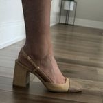Steve Madden Becka Pump Heels Photo 10