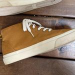 Everlane The Forever High-Top Organic Cotton Sneaker in Bronze/Gold Size 8 Photo 8