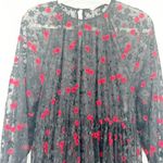 ZARA  Womens Whimsigoth Dark Sheer Embroidered Floral‎ Lace Midi Dress Size S Photo 1
