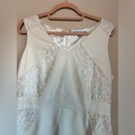 Antonio Melani  Ivory and White Floral Lace Structured Sheath Dress 10 Photo 5