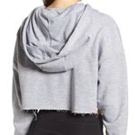 Ivy Park  Festival Palm Tree Cropped Graphic Hoodie Sweatshirt XS Photo 5