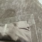 BLANK NYC  French Taupe Tan Suede Leather Skirt 29 Photo 3