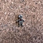 Origami Owl  charm Photo 0