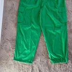 NWT The North Face Women's FlashDry Utility Cargo Pants Optic Emerald‎ Size 3XL Photo 1