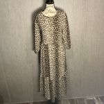 ZARA  Animal Print Long Sleeve Dress Size XS Photo 11