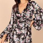 Petal and Pup  Dress  Photo 0