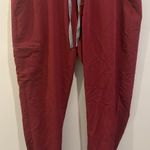 FIGS Zamora Jogger Scrub Pants Photo 1