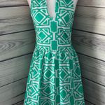 Francesca's Green & White Patterned Flare Dress Photo 0