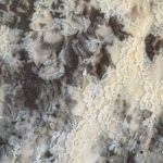 Forever 21 Short Tight Black White And Gray Floral Body Con Dress  Photo 2