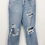 American Eagle Outfitters Curvy 90s Straight Jeans Size 10 Photo 0
