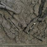 Ultra Pink black long sleeve mock neck lace blouse size L Photo 7