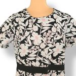 Leota Mackenzie Black Pink Floral Fit Flare Dress Short Sleeve Plus Size 3X Photo 4