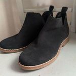 Hush Puppies • Mazin Cayto booties• Size 8.5 Photo 0