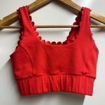 IVL Collective NEW Womens Red Bittersweet Scallop Crop Top sports bra size 4 Photo 1