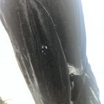 Amanda Smith Women’s Black Velvet Silk Blend Belted Shirt Jacket Dark Academia Photo 6