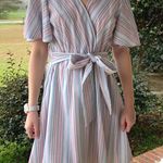 Hummingbird Striped Faux Wrap Dress  Photo 0