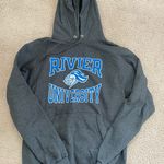 Champion Rivier University Hoodie Photo 0