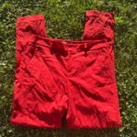 Vince Camuto Tailored Pant With Large Cuff: Tulip Red Photo 1