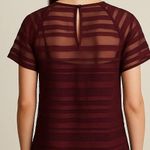 Reiss  Burgundy Sheer Stripe Top – Size US 8 (UK 12 / EU 40) Photo 1