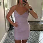 Blue Blush Purple Bodycon Dress Photo 0