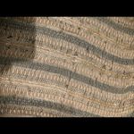 Simply Noelle  Shinny Scarf Photo 1