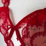 For Love & Lemons VS π Size M Rouge Red Bustier Corset Lace Lingerie Photo 5