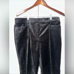 Loft  Velvet Dress Pants Size 8P NWT Photo 1