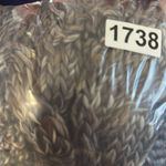 Michael Stars  Knit Eternity Scarf‎ Wool Blend NWT Photo 6