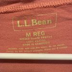 L.L. Bean Pink and Navy Striped pencil Dress size medium Photo 2