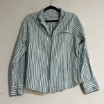 Petite Plume Twill Stripe Long Sleeve Pajama Shirt in Emerald Ticking Size Large Green Photo 0