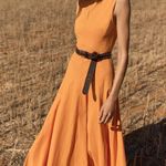 ZARA Midi Swing Dress Photo 0