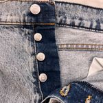 Revice Denim Skirt Photo 4