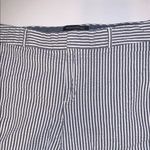 Banana Republic Gray Flat Front Shorts with Vertical Stripes Photo 0