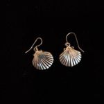 New silver seashell earrings Photo 0