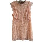 Lulus  My Sweetheart Blush Pink Lace Mini Dress XL Feminine Romantic Coquette Photo 3