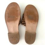 Patricia Green Tuscon Calf Hair Slides in Leopard Size 7 Tan Photo 8