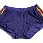 Aviator Nation  Dark Purple Stripe Shorts XL Photo 0