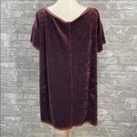 Free People We The Free Doran Crushed Velvet Short Sleeve Tee Photo 4