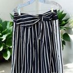 Ann Taylor  NWT Skirt Size 4 Photo 0