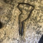 💄 Luisanna Black Genuine Leather Handbag, made in Italy Photo 9