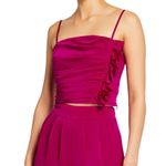 Ramy Brook Estelle Ruched Satin Crop Top Sz 10 NEW Photo 4