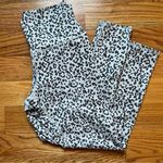 Evolution and creation  animal print leggings size medium Photo 0