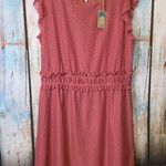 NWT Ella Moon Dusty Rose Swiss Dot Overlay Dress Size XL Pink Photo 0