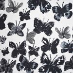 The Vintage Shop Black And Gray Vintage Butterfly Lace Up Crop 🦋  Photo 5