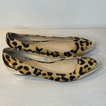 Enzo Angiolini  Leopard Print Flats with Gold Accents Photo 1