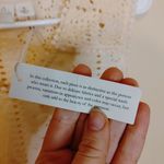 Joie  Size Small NWT NEW Light Pink Pale Pastel Boho Oversized Eyelet Top Blouse Photo 5