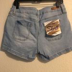 Royalty For Me Royalty ladies shorts 10P Photo 10