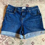Lane Bryant  Blue Jean Shorts Photo 0