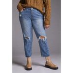 Anthropologie Pilcro The Heritage Boyfriend Jeans Size 28 Mid Rise Crop Distress Photo 2