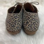Lucky Brand Erreka Lace-Up Leather Oxford Titanium Romo Leopard Size 7.5 BIN 16 Photo 7